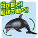 TAKARA TOMY Ania As-19 Animal Adventure White-Sided Dolphin Floating Version- Japan Figure Store - #1 Bring To You The Best Japanese Goods