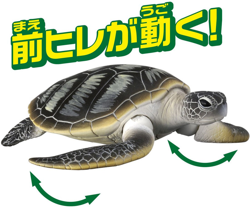 TAKARA TOMY As-20 Animal Adventure Green Turtle Figure- Japan Figure Store - #1 Bring To You The Best Japanese Goods