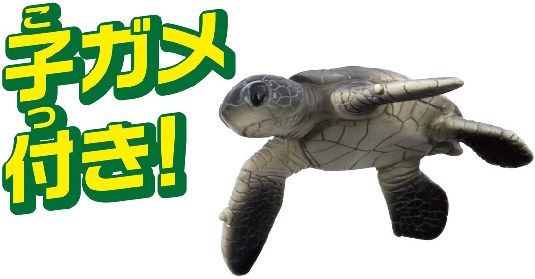 TAKARA TOMY As-20 Animal Adventure Green Turtle Figure- Japan Figure Store - #1 Bring To You The Best Japanese Goods