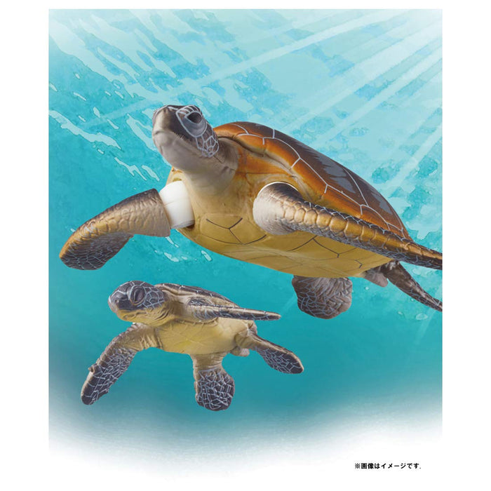 TAKARA TOMY - Ania As-20 Green Sea Turtle Parent And Child - Floating Version- Japan Figure Store - #1 Bring To You The Best Japanese Goods