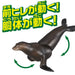 TAKARA TOMY As-21 Animal Adventure Sea Lion Figure- Japan Figure Store - #1 Bring To You The Best Japanese Goods