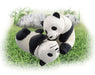 TAKARA TOMY As-23 Animal Adventure Giant Panda Child Figure- Japan Figure Store - #1 Bring To You The Best Japanese Goods