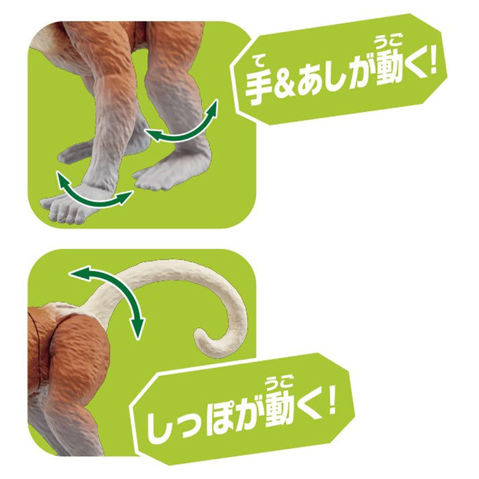 TAKARA TOMY Ania As-29 Proboscis Monkey- Japan Figure Store - #1 Bring To You The Best Japanese Goods