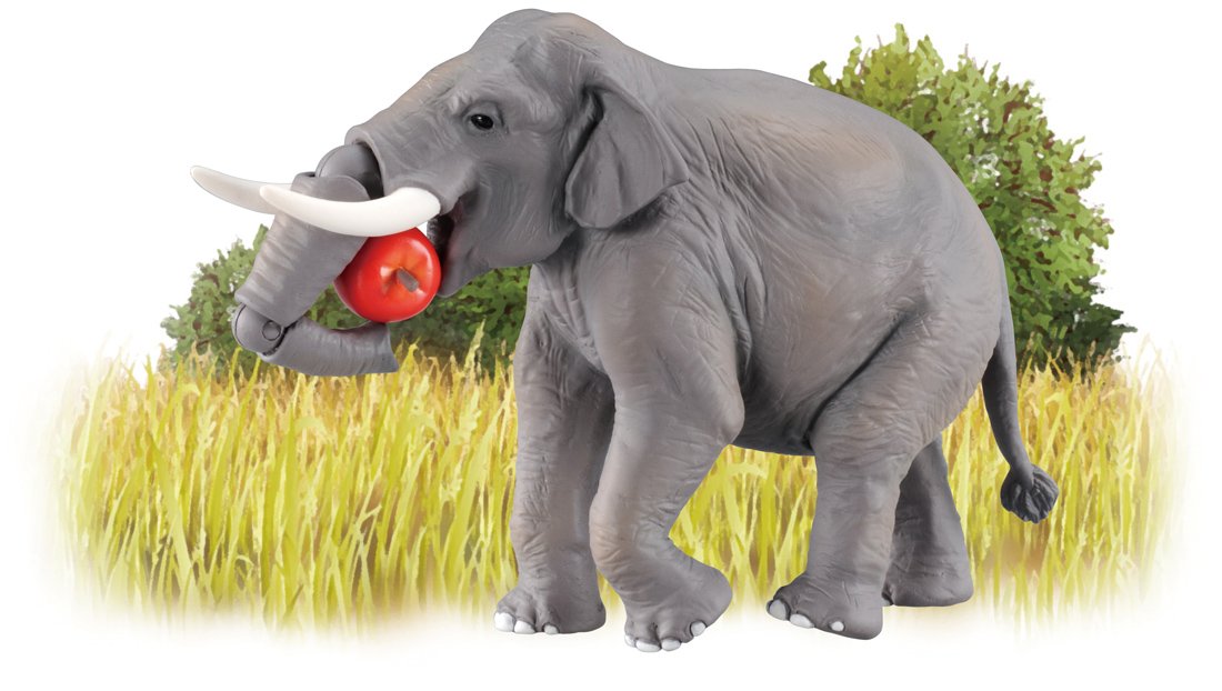 TAKARA TOMY As-33 Animal Adventure Asian Elephant Figure- Japan Figure Store - #1 Bring To You The Best Japanese Goods