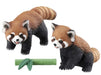 TAKARA TOMY As-35 Animal Adventure Red Panda Figure- Japan Figure Store - #1 Bring To You The Best Japanese Goods