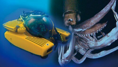 Aoshima 1/48 Deep Sea Explorer Series No.01 Submersible Triton