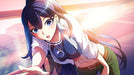 Arc System Works World End Syndrome Ps Vita Sony Playstation - New Japan Figure 4510772180092 6