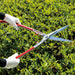 Ars Corporation KR-1000 Replaceable Blade Pruning Shears- Japan Figure Store - #1 Bring To You The Best Japanese Goods