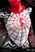 KOTOBUKIYA Mk311 Artfx Premier Marvel Silk 1/10 Scale Figure- Japan Figure Store - #1 Bring To You The Best Japanese Goods