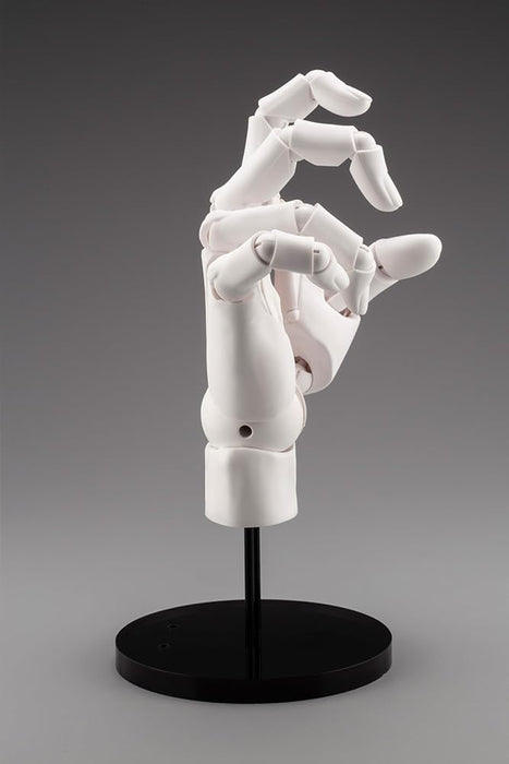 Artist Support Item Hand Model/R -White- Japan Figure Store - #1 Bring To You The Best Japanese Goods