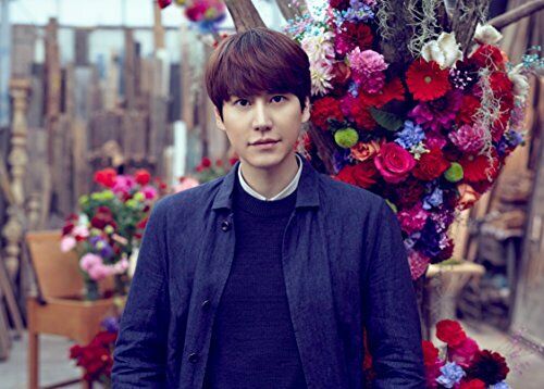 Avex Trax Super Junior-kyuhyun Celebration Kimi Ni Kakeru Hashi Cd+sumapura+card