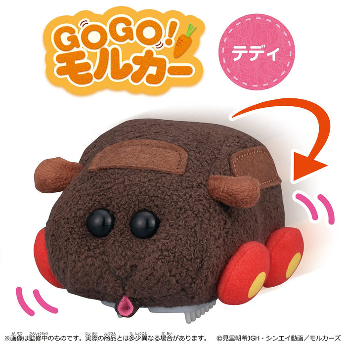 Bandai Molcar Teddy Go Go!- Japan Figure Store - #1 Bring To You The Best Japanese Goods