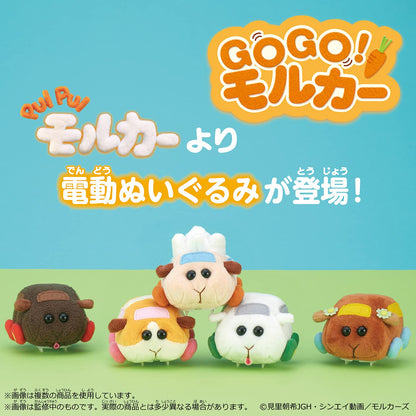 Bandai Molcar Teddy Go Go!- Japan Figure Store - #1 Bring To You The Best Japanese Goods
