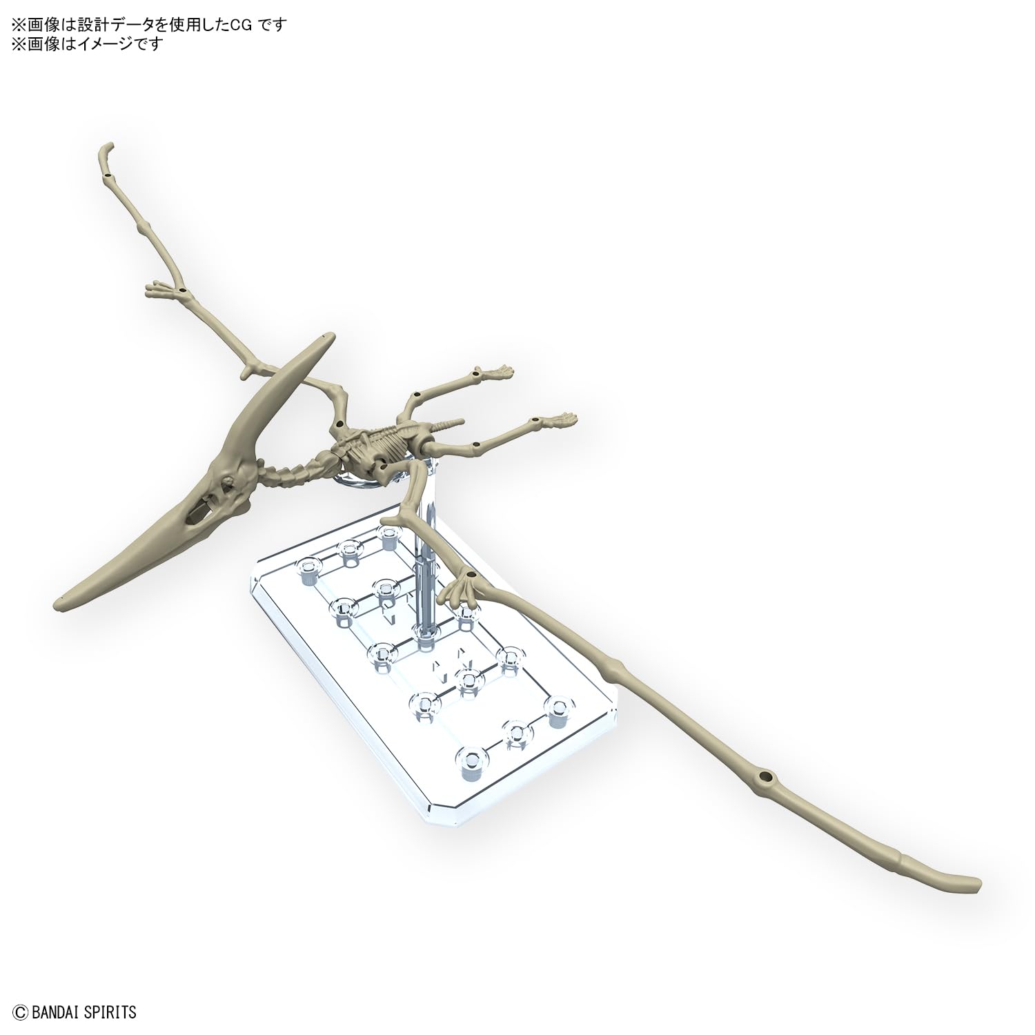 Bandai Spirits Color-Coded Planosaurus Pteranodon Plastic Model Kit- Japan Figure Store - #1 Bring To You The Best Japanese Goods