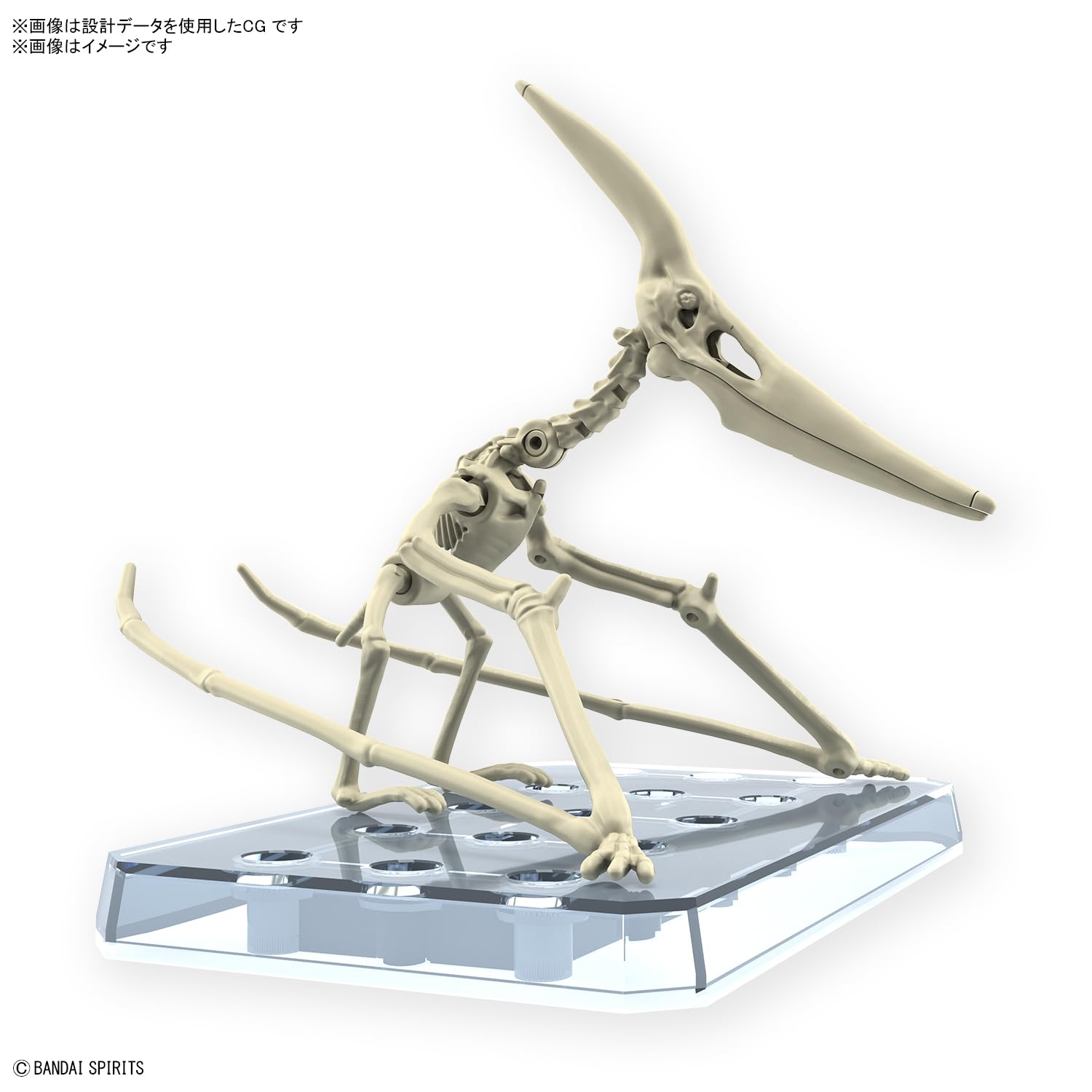 Bandai Spirits Color-Coded Planosaurus Pteranodon Plastic Model Kit- Japan Figure Store - #1 Bring To You The Best Japanese Goods
