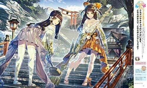 Beauty Butterfly Picture Book Art Book- Japan Figure Store - #1 Bring To You The Best Japanese Goods