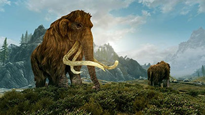 Bethesda The Elder Scrolls V Skyrim Nintendo Switch - Used Japan Figure 4902370538915 2