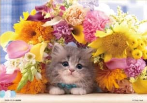 Beverly P108-844 Jigsaw Puzzle Kitten Surrounded By Flowers (108 Pieces) Animal Puzzle- Japan Figure Store - #1 Bring To You The Best Japanese Goods
