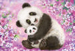 BEVERLY - Jigsaw Puzzle 33-169 Grow Up Kayomi Harai - 300 Pieces- Japan Figure Store - #1 Bring To You The Best Japanese Goods