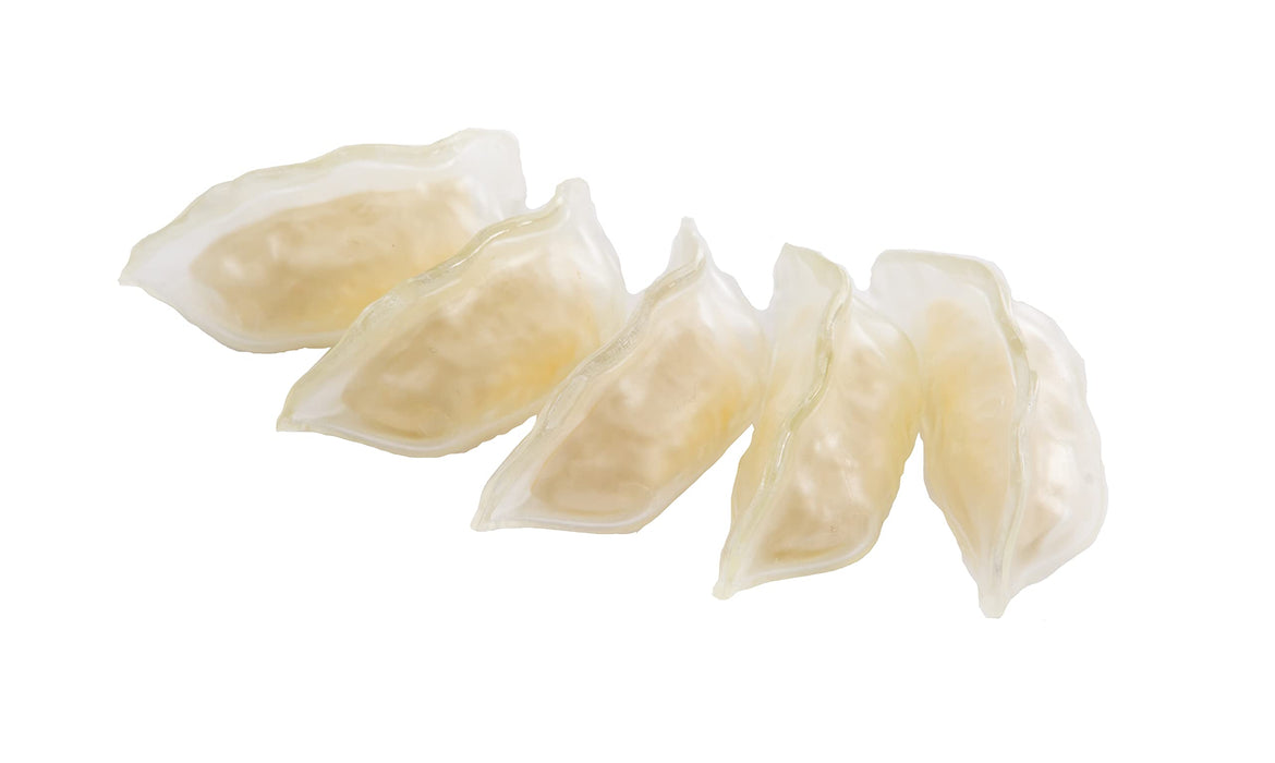 Syuto Boiled Gyoza Plastic Model 1/1 Scale Japan Ps Assembly Type Transparent- Japan Figure Store - #1 Bring To You The Best Japanese Goods