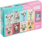 Bushiroad Rebirth For You D4DJ Trial Deck with Photon Maiden and Lyrical Lily- Japan Figure Store - #1 Bring To You The Best Japanese Goods