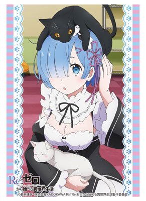 Bushiroad High Grade Sleeve Collection Vol.1078 Re:Zero Starting Life with Rem- Japan Figure Store - #1 Bring To You The Best Japanese Goods