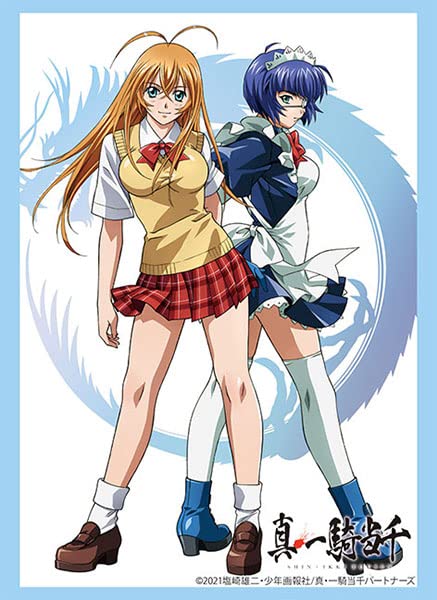 Bushiroad Sleeve Collection HG Vol.3434 Ikki Tousen Ryomou- Japan Figure Store - #1 Bring To You The Best Japanese Goods