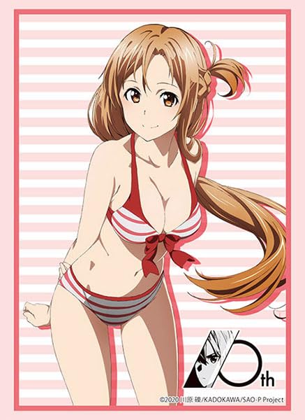 Bushiroad Sleeve Collection HG Vol.3814 SAO 10th Anniv. Asuna Pt.4- Japan Figure Store - #1 Bring To You The Best Japanese Goods