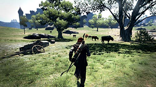 Capcom Dragon’S Dogma Dark Arisen Nintendo Switch - New Japan Figure 4976219000628 1