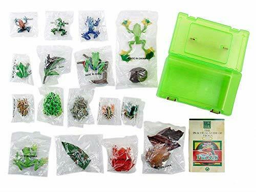 Colorata Real Figure Box The Plactical Guide Of Frogs- Japan Figure Store - #1 Bring To You The Best Japanese Goods