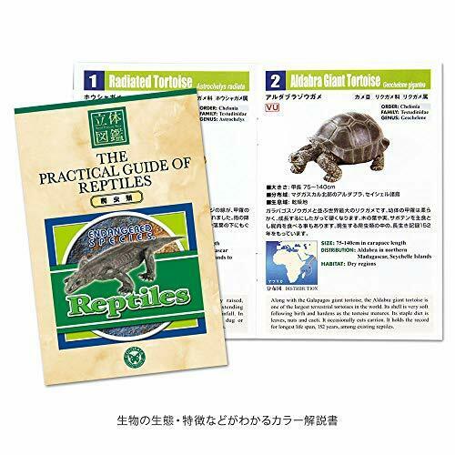Colorata Real Figure Endangered Species Reptiles Box- Japan Figure Store - #1 Bring To You The Best Japanese Goods
