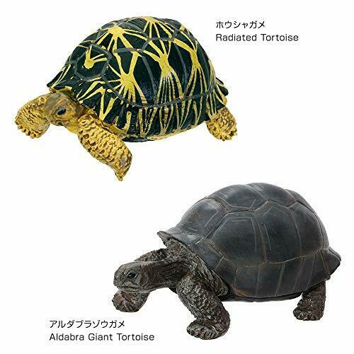 Colorata Real Figure Endangered Species Reptiles Box- Japan Figure Store - #1 Bring To You The Best Japanese Goods