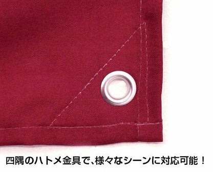 Cospa Mobile Suit Gundam Zeon Military Flag 0204-0205- Japan Figure Store - #1 Bring To You The Best Japanese Goods