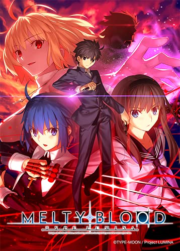 Delightworks Melty Blood Type Lumina For Nintendo Switch - Used Japan Figure 4580560594585