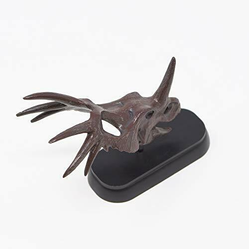 Dinosaur Styracosaurus Skull Mini Model Fdw-507- Japan Figure Store - #1 Bring To You The Best Japanese Goods
