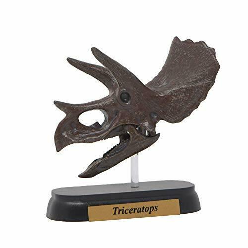 Dinosaur Triceratops Skull Mini Model Fdw-502 - Japan Figure