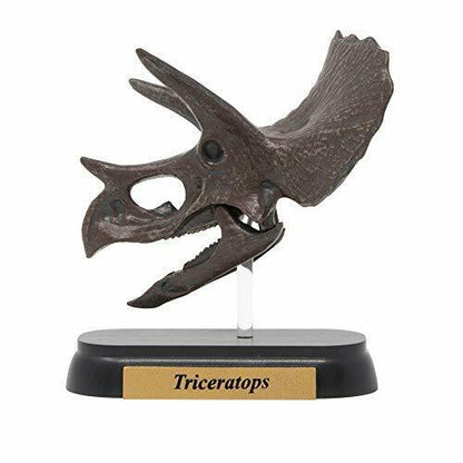 Dinosaur Triceratops Skull Mini Model Fdw-502- Japan Figure Store - #1 Bring To You The Best Japanese Goods