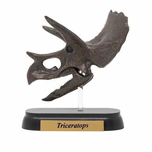 Dinosaur Triceratops Skull Mini Model Fdw-502- Japan Figure Store - #1 Bring To You The Best Japanese Goods