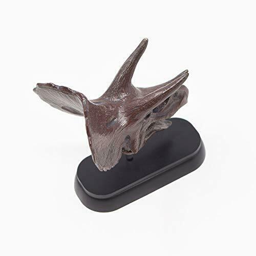 Dinosaur Triceratops Skull Mini Model Fdw-502- Japan Figure Store - #1 Bring To You The Best Japanese Goods