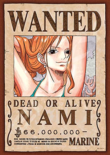 Ensky 208 Piece Jigsaw Puzzle One Piece Wanted Book Nami (18.2X25.7Cm)- Japan Figure Store - #1 Bring To You The Best Japanese Goods