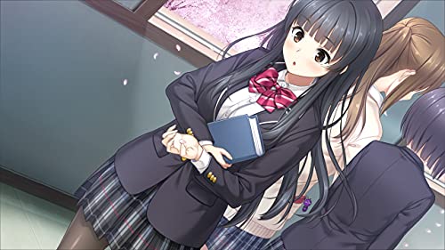 Entergram Full Kiss Ss For Nintendo Switch - New Japan Figure 4935066604021 3