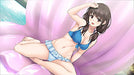 Entergram Fuyu Kiss For Nintendo Switch - New Japan Figure 4935066604083 1