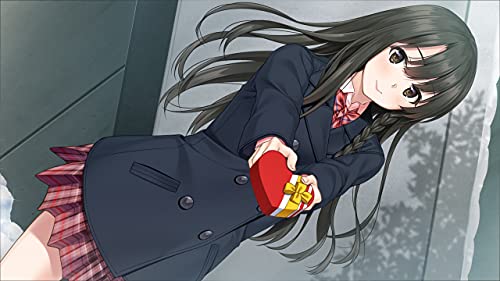 Entergram Fuyu Kiss For Nintendo Switch - New Japan Figure 4935066604083 3