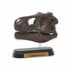 Favorite Dinosaur Skull 12 Set Mini Model Figure Designed By Hirokazu Tokugawa - Japan Figure