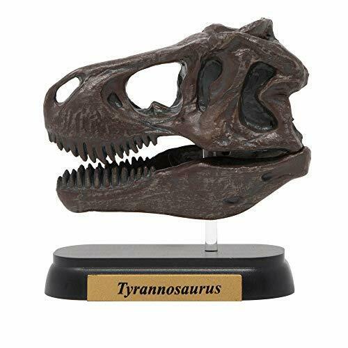 Favorite Dinosaur Skull 12 Set Mini Model Figure Designed By Hirokazu Tokugawa- Japan Figure Store - #1 Bring To You The Best Japanese Goods
