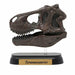 Favorite Dinosaur Skull 12 Set Mini Model Figure Designed By Hirokazu Tokugawa- Japan Figure Store - #1 Bring To You The Best Japanese Goods