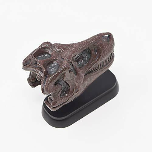 Favorite Dinosaur Skull 12 Set Mini Model Figure Designed By Hirokazu Tokugawa- Japan Figure Store - #1 Bring To You The Best Japanese Goods