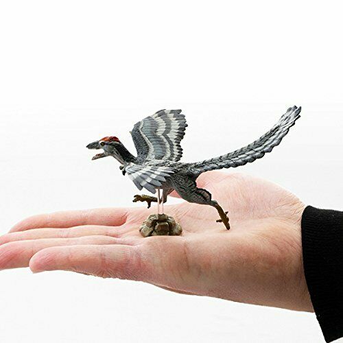 Favorite Dinosaur Soft Model Series Figure Archaeopteryx Fdw-015- Japan Figure Store - #1 Bring To You The Best Japanese Goods