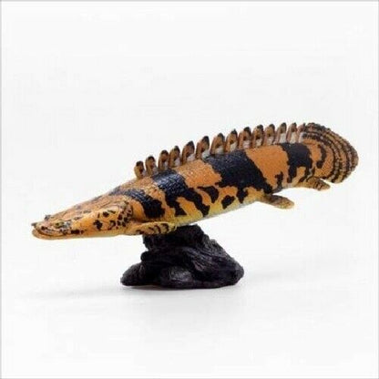 Favorite Febaritto Polypterus Endlicheri Endlicheri Software Model - Japan Figure