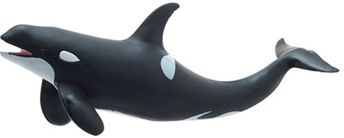 FM-301 Favorite Killer Whale- Japan Figure Store - #1 Bring To You The Best Japanese Goods
